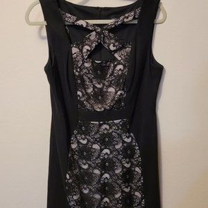 Connected Apparel Black Lace Formal Business Dress Pink